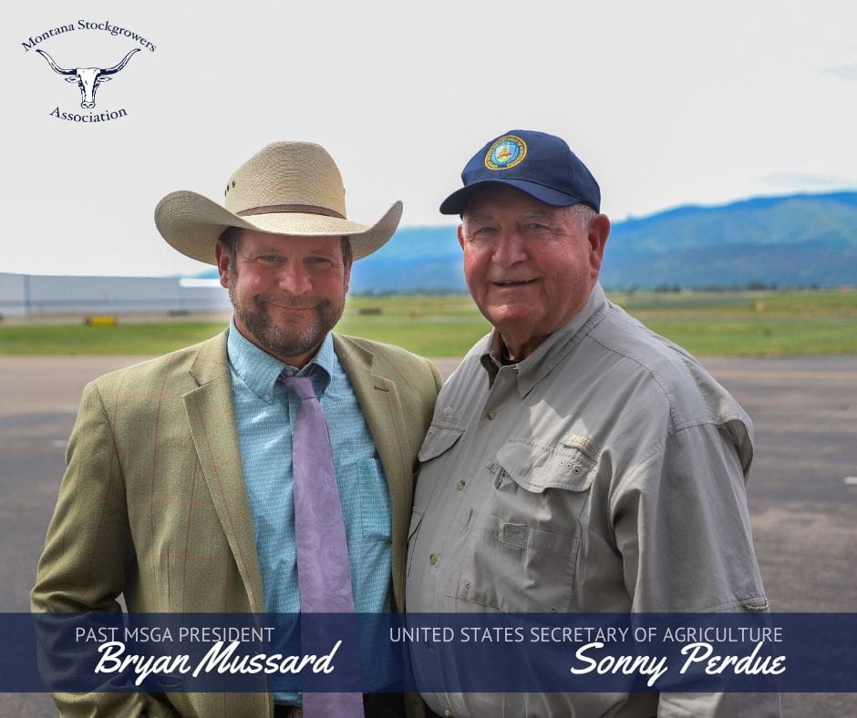 - Montana Stockgrowers Association
